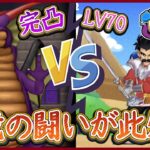 完凸竜王 vs 強敵バランLV70 王と王の決戦！真竜の闘い！ダイの大冒険 第3弾 前編！ドラ消し,ドラけし,ドラクエけしけし,けし消し【メイルス】