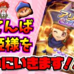 【ドラけし】ドラクエ４キャラコンプへ向けて「アリーナガチャ」全力で引いていきます！！【ドラクエけしケシ】