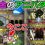 【ドラクエタクト】廃課金がアニバタワーを駆け上がる配信！（TeamTEMAKI）