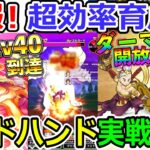 【ドラクエウォーク】ゴッドハンド育成に朗報！　超効率的に育成が可能だぞ！これ！！！上級職の苦労は何だったんだ、、、（TeamTEMAKI）