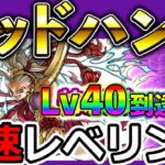 【ドラクエウォーク】Lv40～ 限界まで最速でゴッドハンド育成する生放送！！！（TeamTEMAKI）