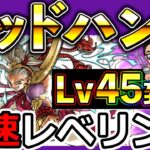 【ドラクエウォーク】Lv45～ 一気にカンストまで！　限界まで最速でゴッドハンド育成する生放送！！！（TeamTEMAKI）