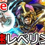 【ドラクエウォーク】大魔導士最速レベリング情報共有生放送！（TeamTEMAKI）