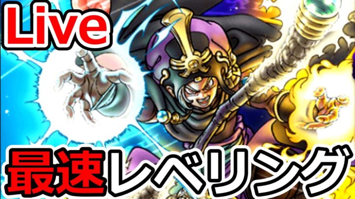 【ドラクエウォーク】大魔導士最速レベリング情報共有生放送！（TeamTEMAKI）