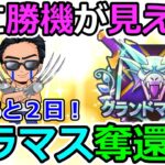 【ドラクエウォーク】モングラ６日目　遂にグラマスボーダーを視界に捉えた！　俺の体よ…持ってくれ！！！（TeamTEMAKI）