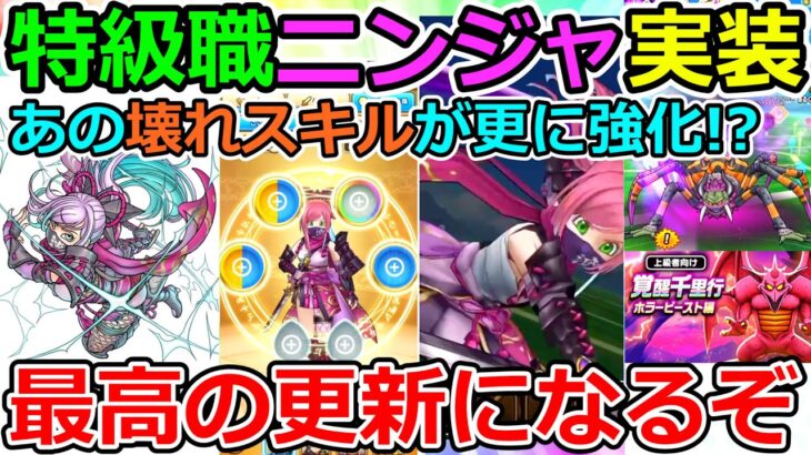 【ドラクエウォーク】最高かよ！　特級職ニンジャ実装が最高だし最強すぎるっ！！！（TeamTEMAKI）