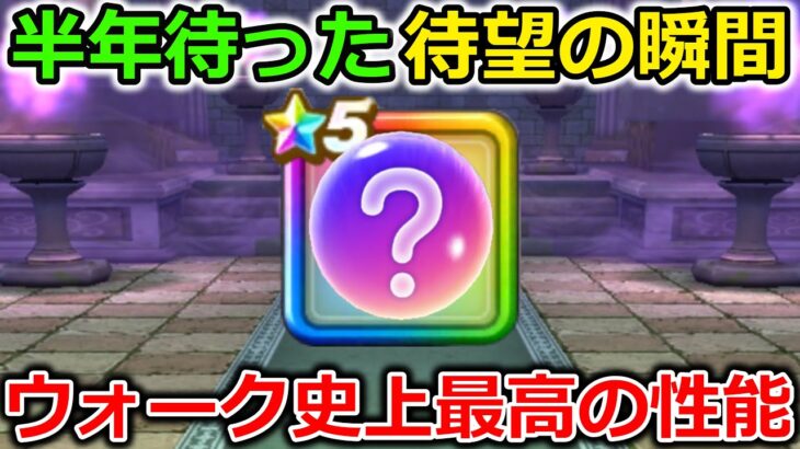 【ドラクエウォーク】半年待った待望の瞬間きたぁぁぁ！！これだけあれば他に何もいらなくなる説・・！ウォーク史上最高の性能です