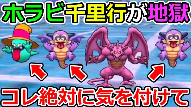 【ドラクエウォーク】ホラビ千里行が圧倒的🔴🔴接待ｗｗｗ　コレだけは絶対に気を付けましょう！！！（TeamTEMAKI）