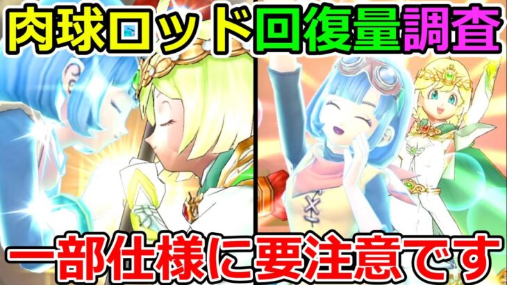 【ドラクエウォーク】セラフィぷにぷに肉球ロッドに一部地雷仕様発覚！　回復量調査結果報告！（TeamTEMAKI）