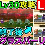 【ドラクエウォーク】第４回モンスターグランプリ前にスパーリングやろうぜ！（TeamTEMAKI）