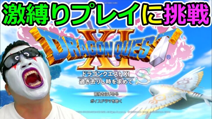 ドラクエ11S#15未だに自力で全クリしてないDQ実況者が激縛りプレイでクリアを目指すTeamTEMAKI