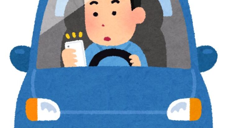 普通に歩く人と車使う人ではレベル上げのペース違うのは当たり前だよな