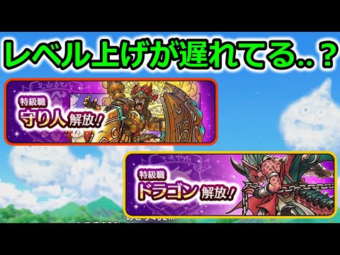 【ドラクエウォーク】怒涛の新職追加、守り人＆ドラゴンの平均レベルは果たしていくつなのか・・？