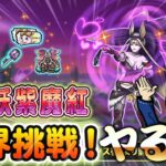 【星ドラ (参加型) 】新イベ妖紫魔紅の限界挑戦ヤる【星のドラゴンクエスㇳ】