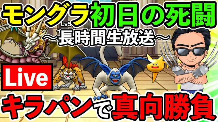 【ドラクエウォーク】モングラ初日、相棒のキラパンと共に戦場を駆け抜けろ！！！（TeamTEMAKI）