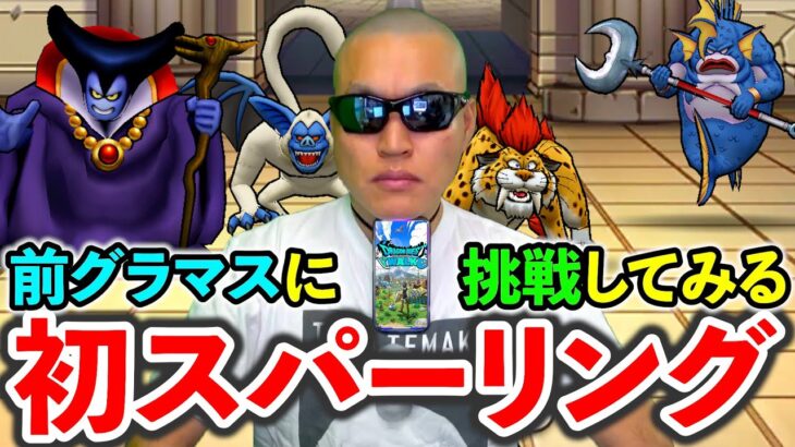 【ドラクエウォーク】魔王卵割りがひと段落したので初スパーリングだぁああああああああ（TeamTEMAKI）