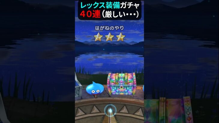 【ドラクエウォーク】若武者レックス装備ガチャ４０連（呪われてる～）【ドラゴンクエストウォーク】2025年5月9日