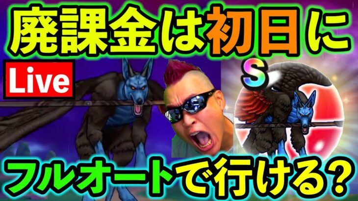 【ドラクエウォーク】廃課金は初日から華麗にフルオートでメガモンを処理できるのか？（TeamTEMAKI）