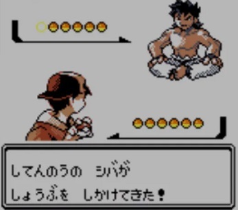 ポケモンのジムリーダーと四天王は頼むからフルパーティでかかって来い